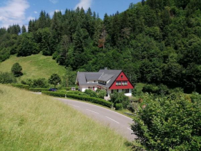 Idyllic holiday home in a mansion with garden in the beautiful Black Forest